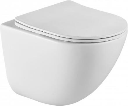 Крышка-сиденье BelBagno Amanda BB051SC с микролифтом, овальная, в стиле hi-tech