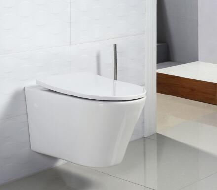 Крышка-сиденье BelBagno BB2031SC в современном стиле