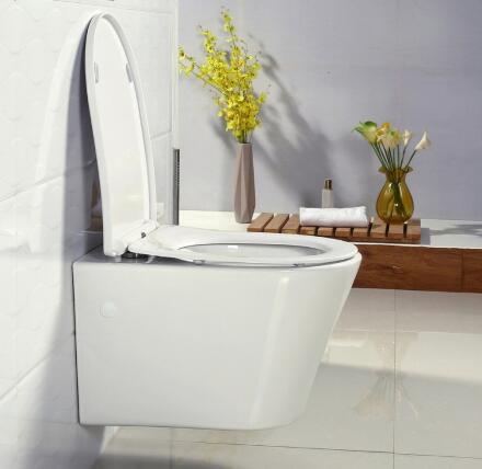 Крышка-сиденье BelBagno BB2031SC в современном стиле